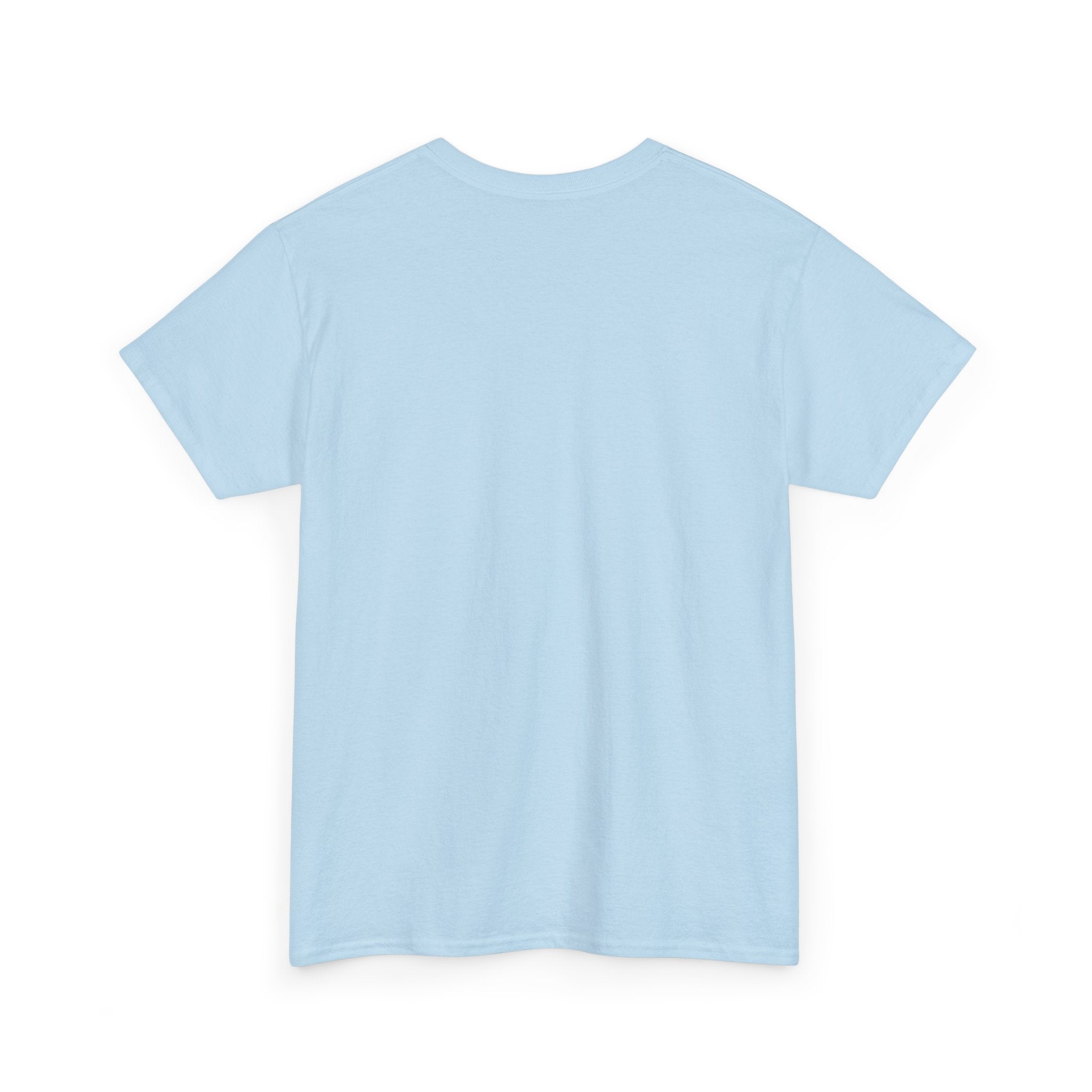 Einstein Heavy Cotton Tee | | E = MC2  | Unisex T shirt