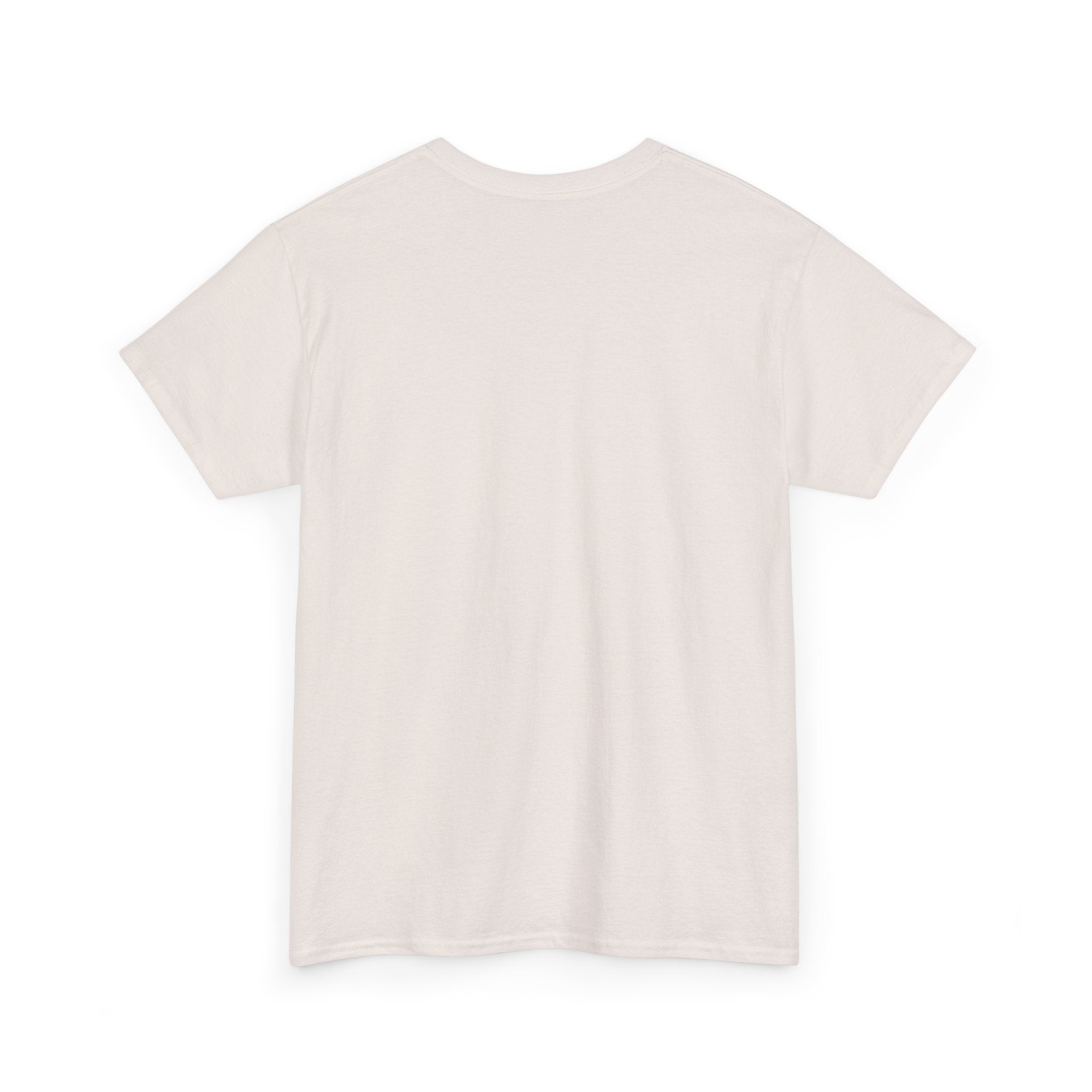 Einstein Heavy Cotton Tee | | E = MC2  | Unisex T shirt